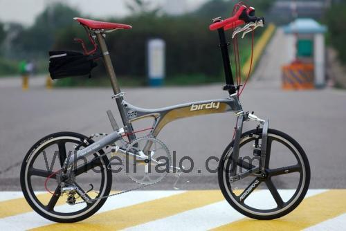 Birdy Monocoque specs and reviews